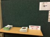My Gallery (4/58)